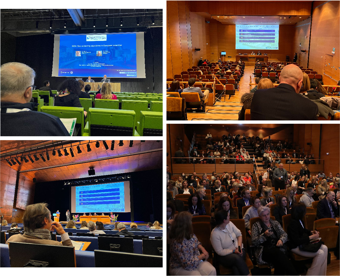 新聞拼圖1-05.jpg 新聞拼圖1-05.jpg